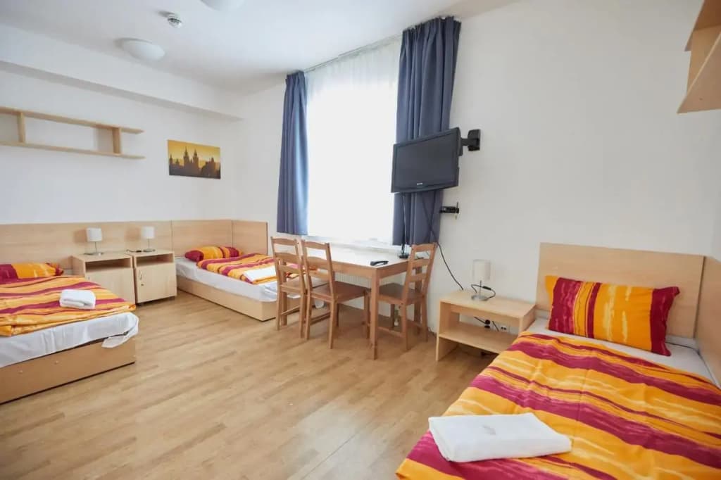 University Hotel - photo 4