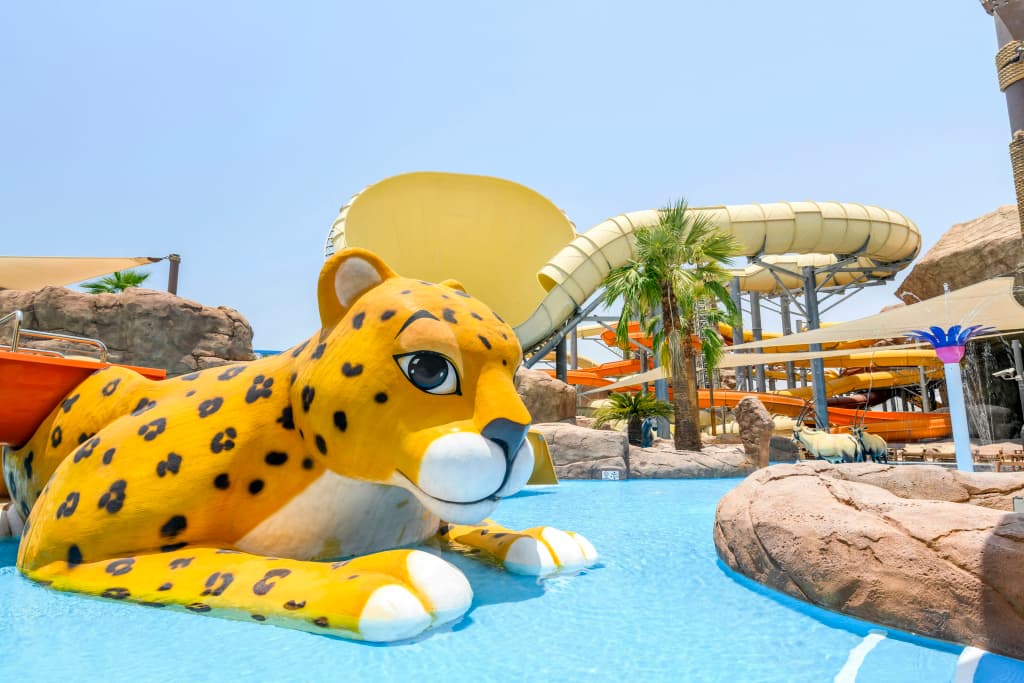 Hilton Salwa Beach Resort & Villas - photo 40