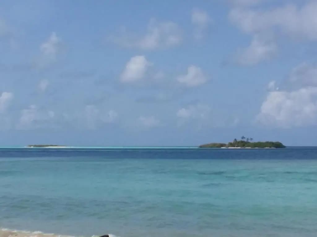 Palm Residence Hotel - photo 26