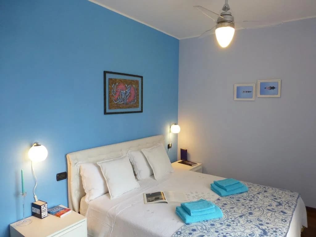 Rutilia22 - photo 21