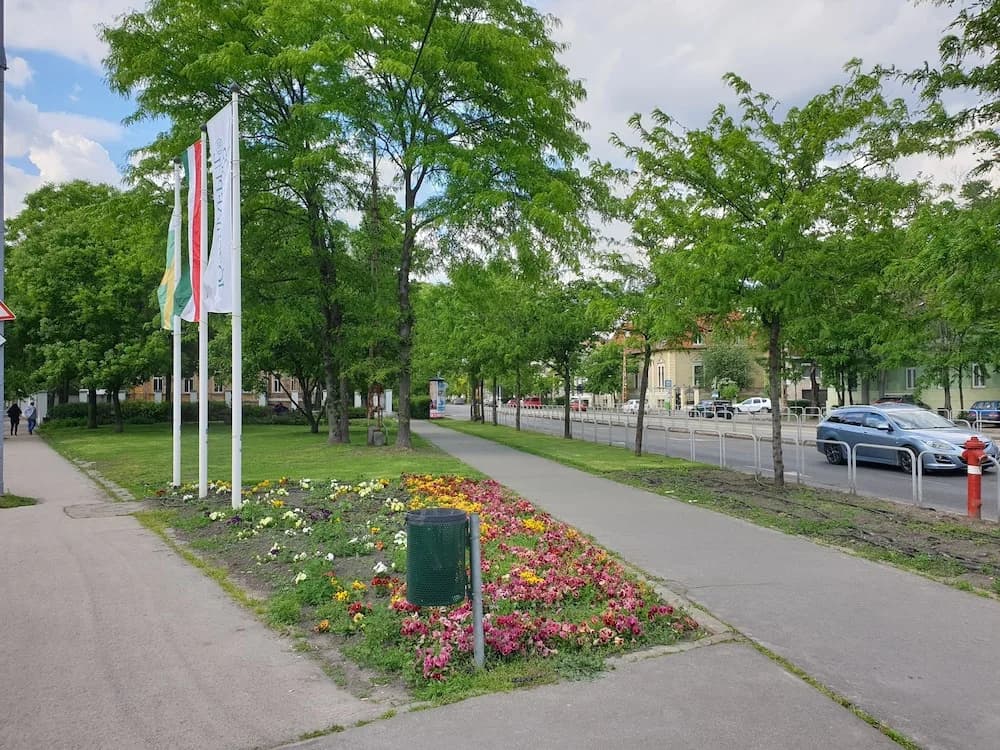 Guest House Orczy Park - photo 11