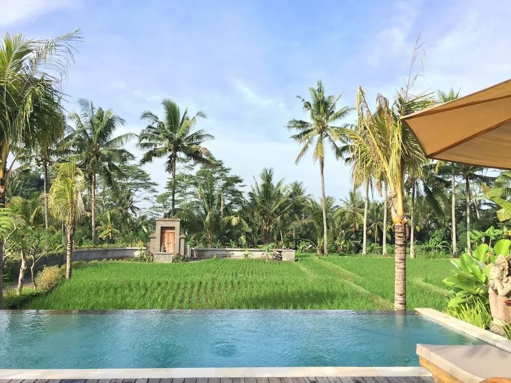 The Suris Ubud - photo 10