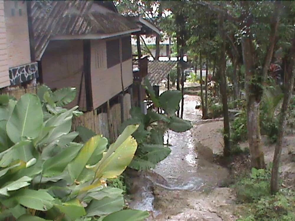 Nature Park Resort - photo 10