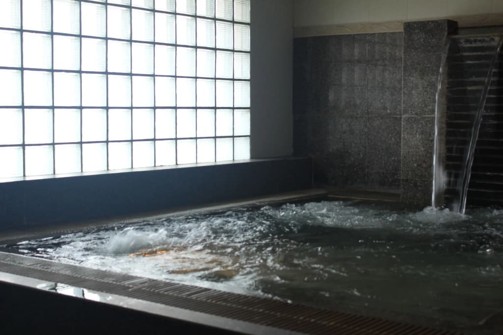 Ebina House - photo 8