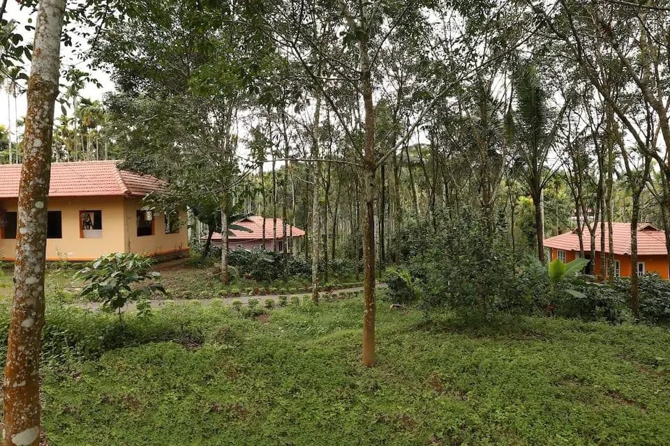 Himadri Retreat Cottages - photo 5
