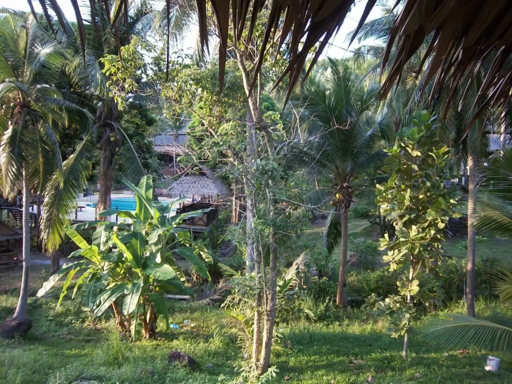 Shiralea Island Resort - photo 23
