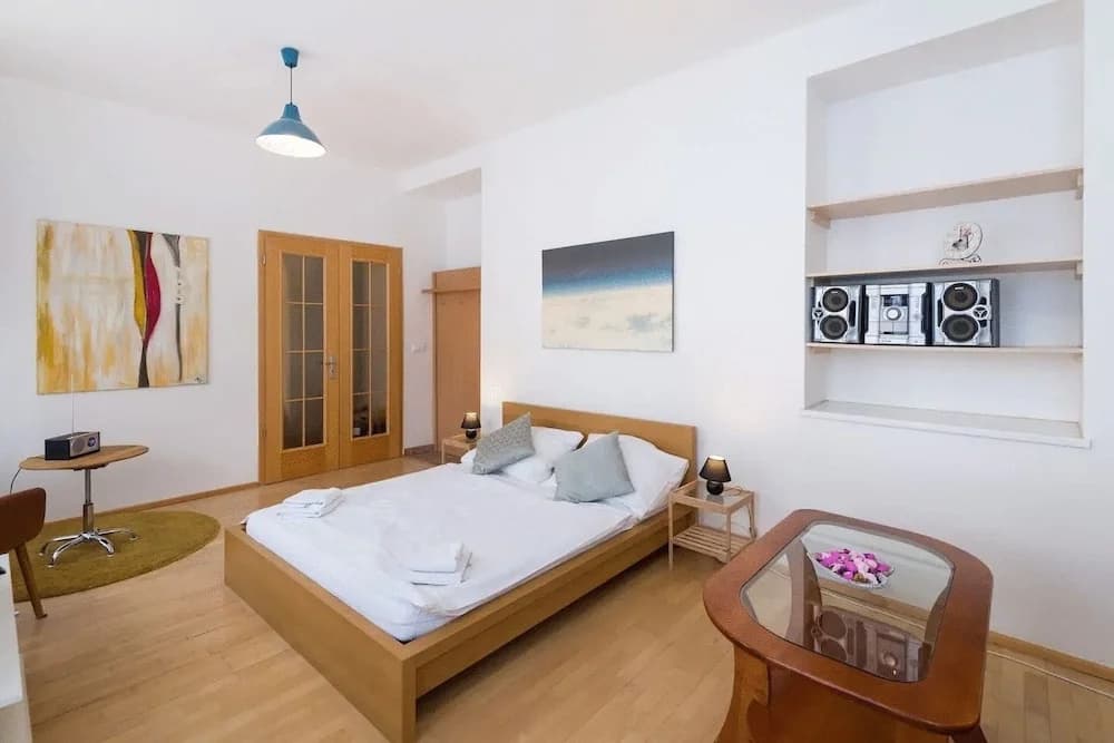 Spasious Apartment in Prague - photo 5