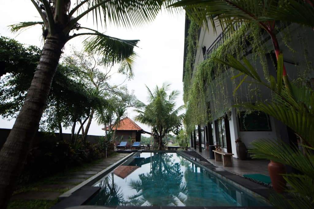 Grandpa Guest House - photo 12