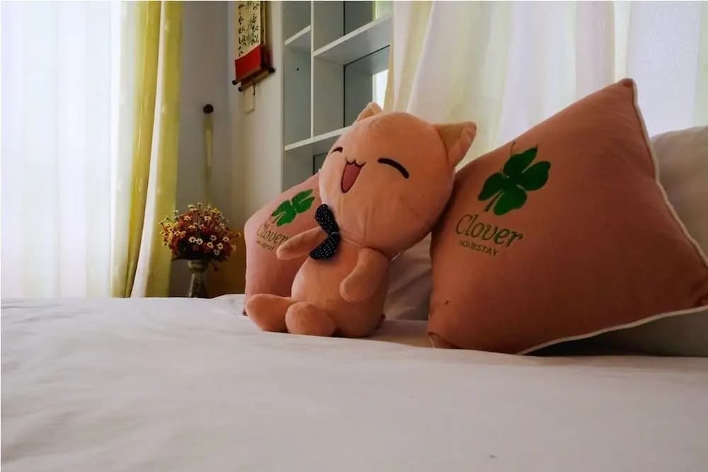 Da Nang Clover Homestay - photo 5