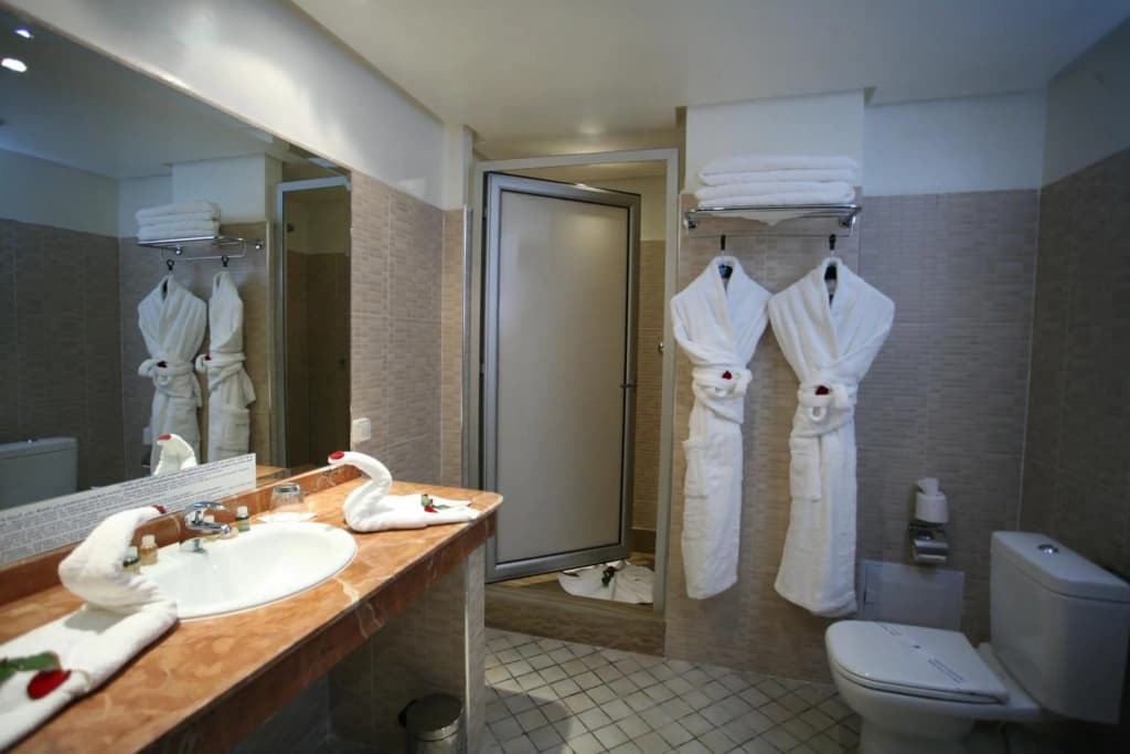 Almas Hotel - photo 8