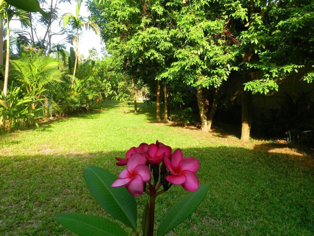 Villa Nissa - photo 14