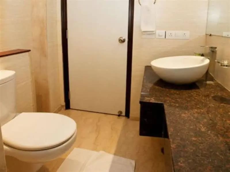 Madhuban Hotel - photo 7