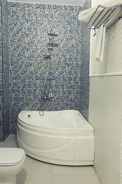 Tahrir Plaza Suites - photo 9