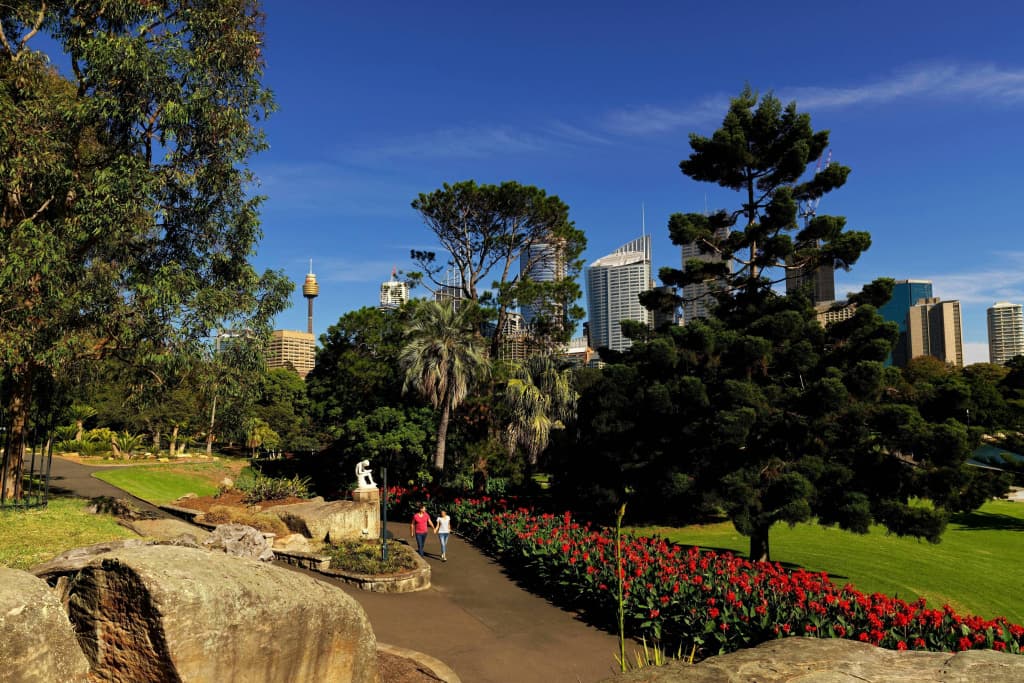 Sydney Harbour Marriott Hotel at Circular Quay - photo 21