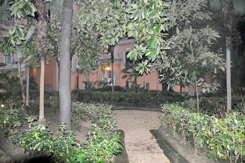 Mancini's Home - photo 15