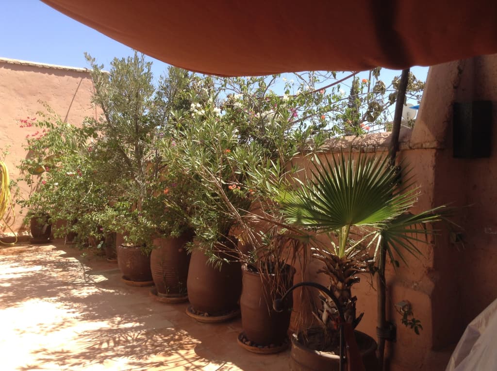 Dar Zemrane - photo 16
