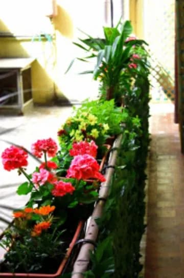 Legends Hostel - photo 3
