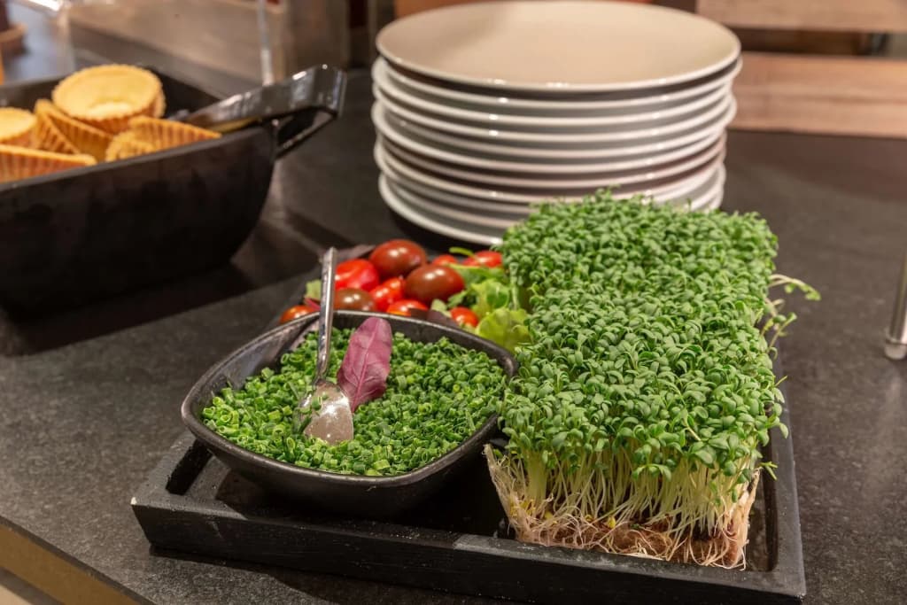 Holiday Inn — the niu, Franz Vienna - photo 9