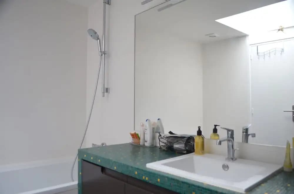 Top Floor Flat Near Bastille - photo 5