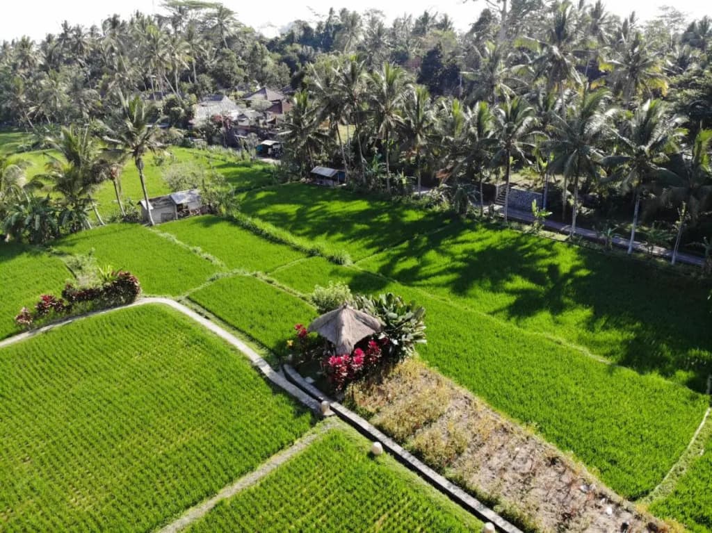 MATHIS Retreat Ubud - photo 34