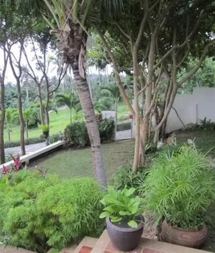 Santisook Villa - photo 5