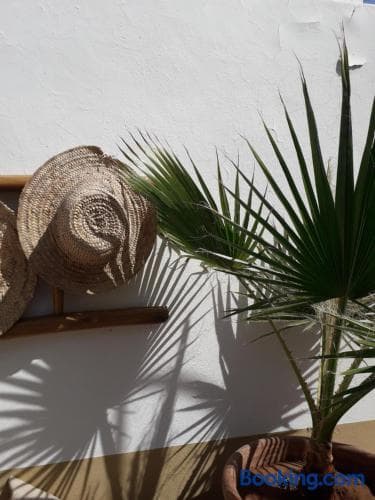 Riad Safina - photo 49