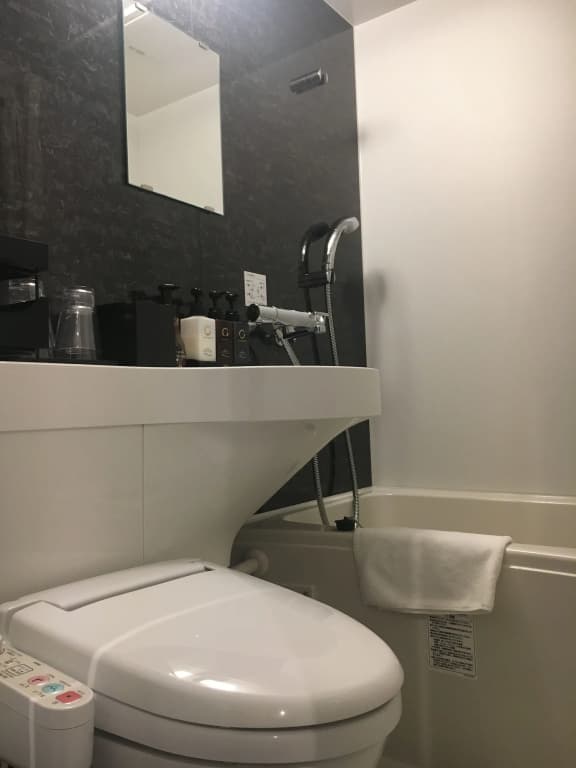 Tosei Hotel Cocone Ueno - photo 46