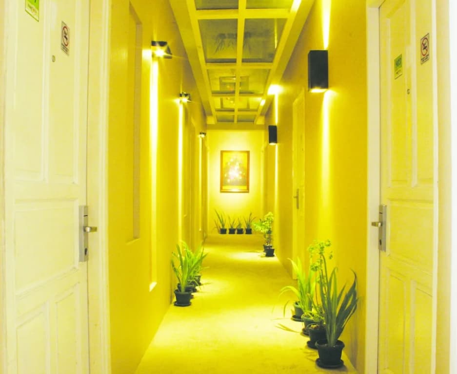 Magnolia Hotel - photo 6