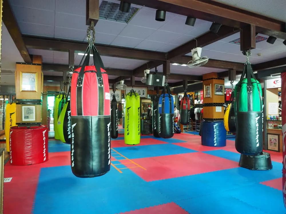 Fairtex Express - photo 18