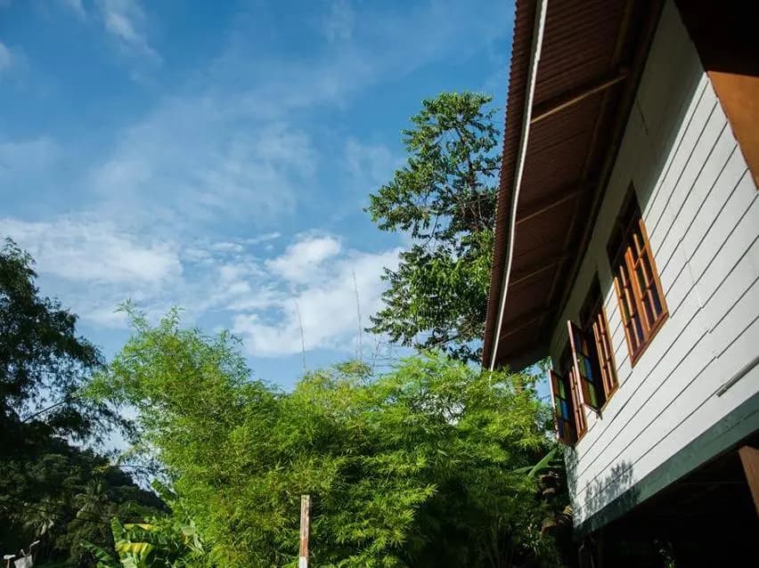 Audi Guest House - photo 9