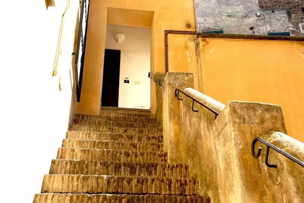Civitas - photo 11