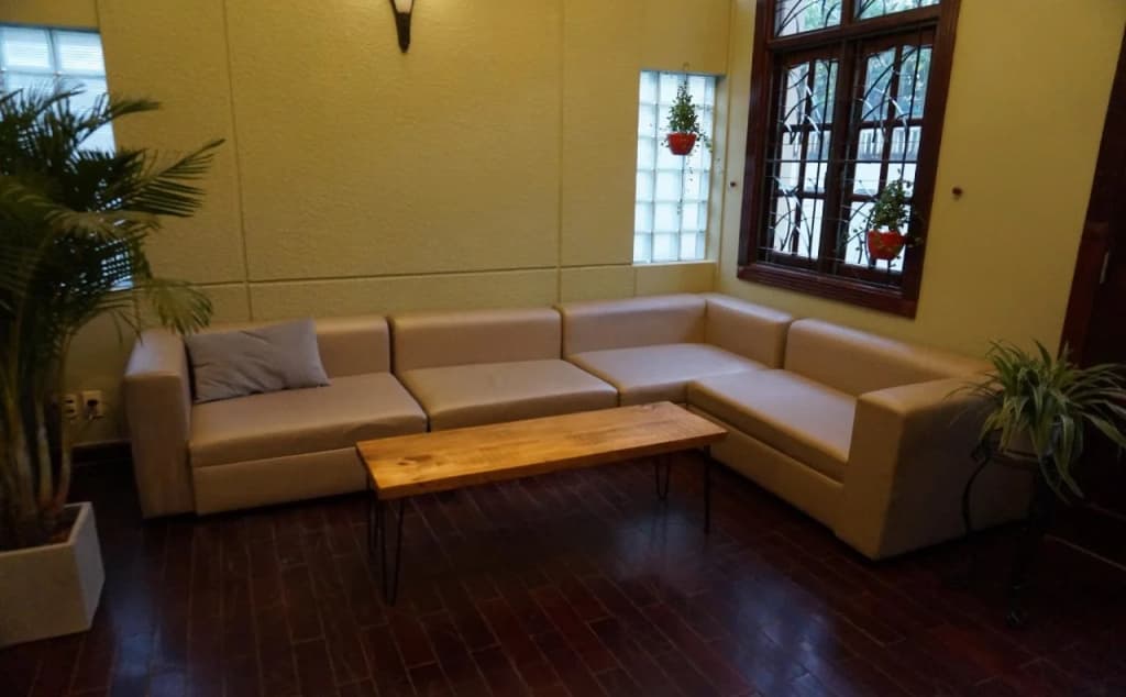 Leiden Homestay & Cafe - photo 11