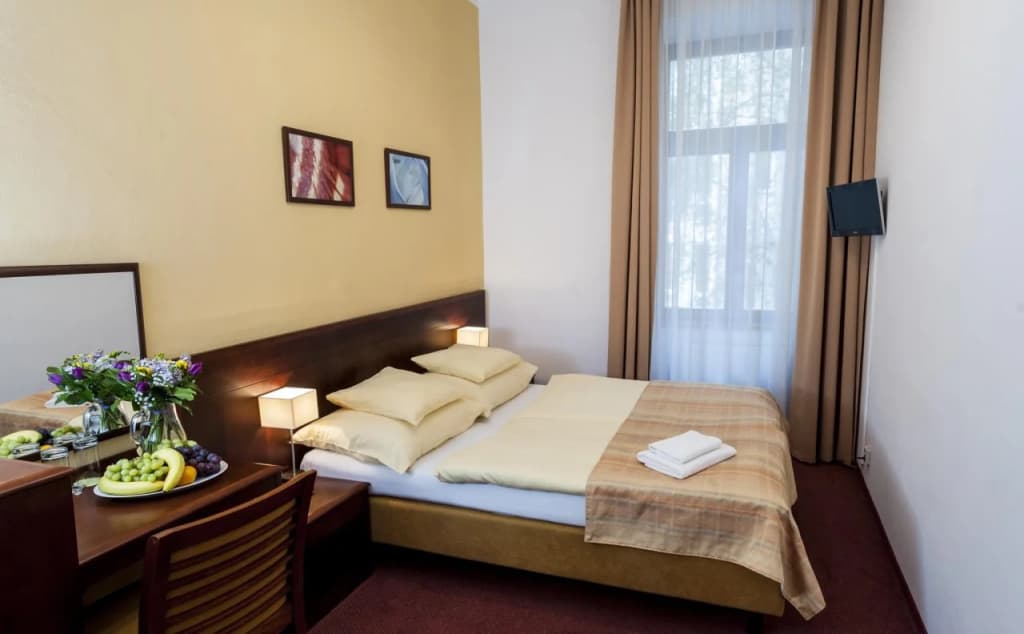 Hotel Petr - photo 2