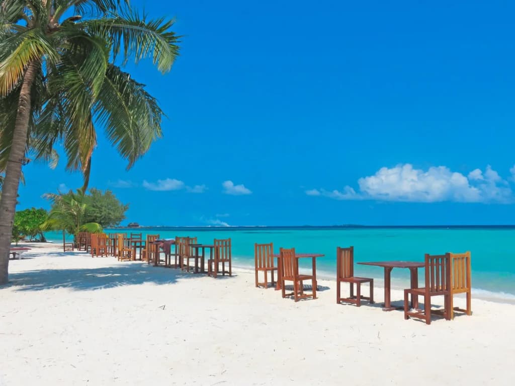 Fun Islands Resort - Maldives - photo 36