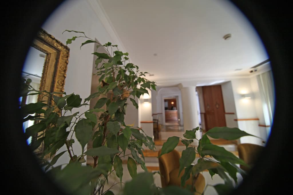 Hotel Borromeo - photo 15