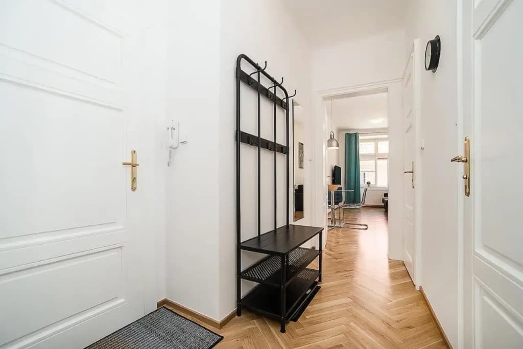 Unique Apt 250m from the Charles Bridge - photo 14