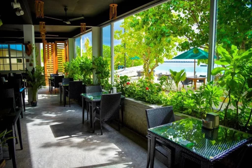 Rashu Hiyaa - photo 21