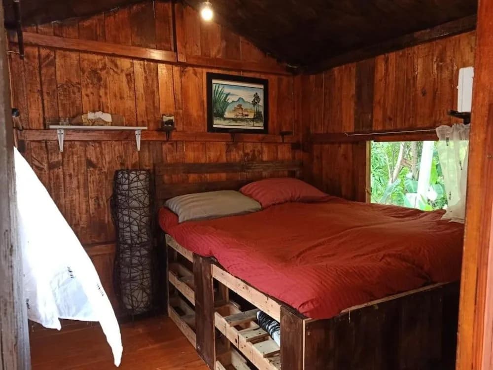 ABSTheCafe Hostel - photo 1