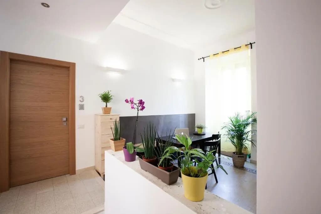 Green Rooms - photo 4