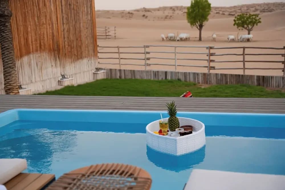 Al Marmoom Dome Luxury Desert Experiential Stay - photo 10