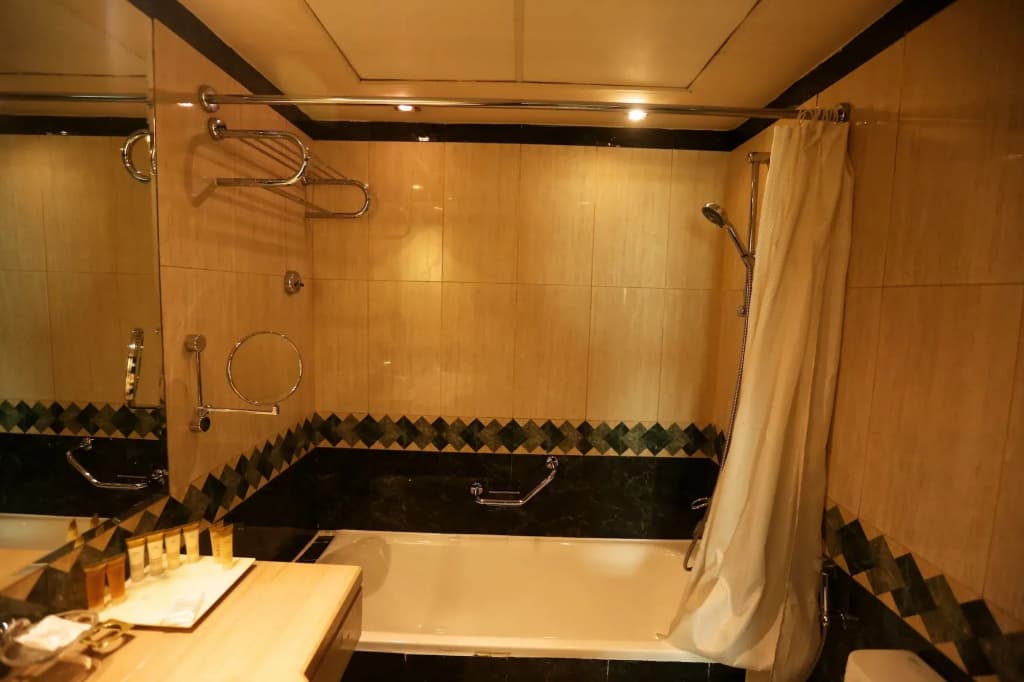 Triumph Plaza Hotel - photo 10