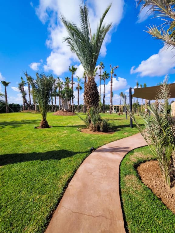 Magnifique Villa Golf Amelkis Marrakech - photo 32