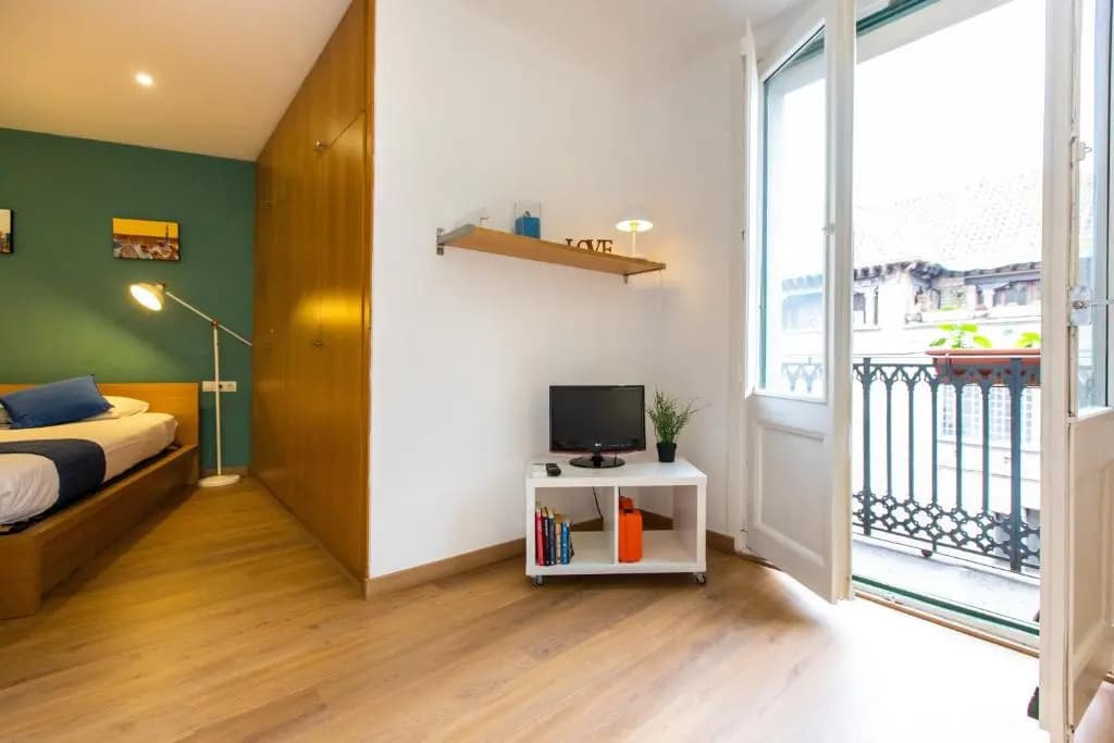 Ripoll Apartments - main photo