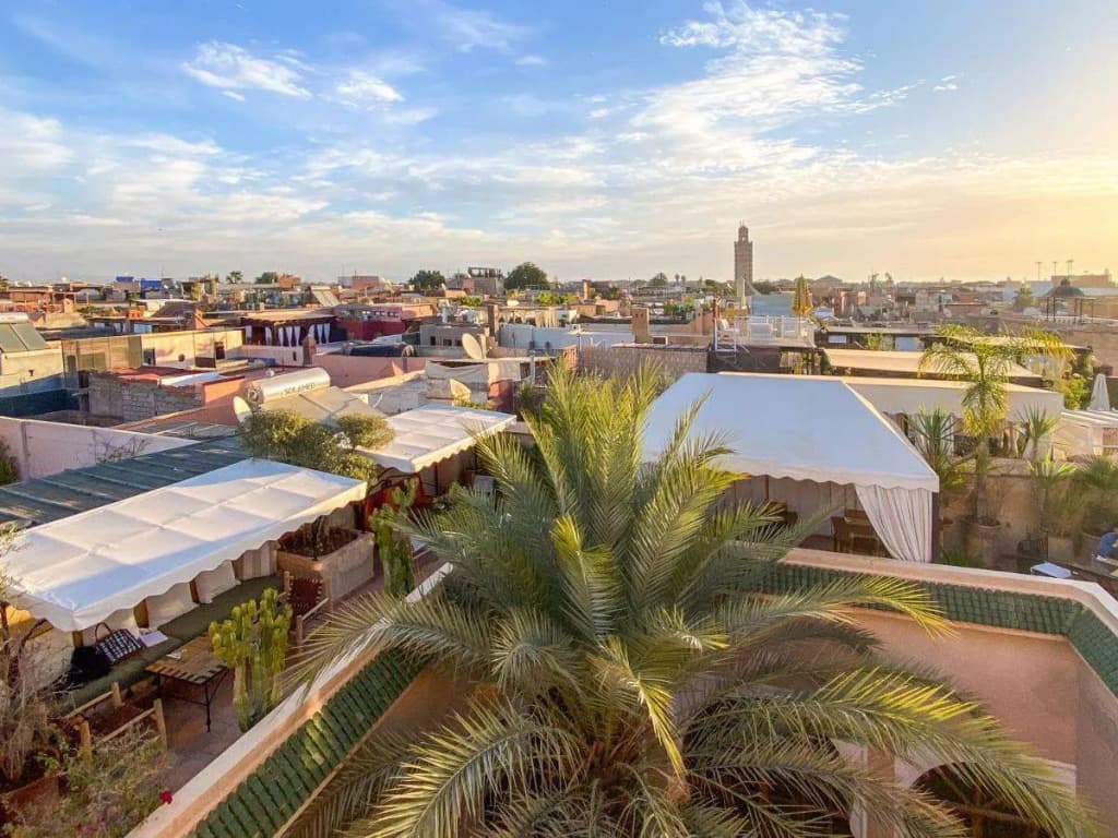 Riad Selouane - photo 14