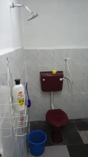 Arina`s Homestay - photo 8