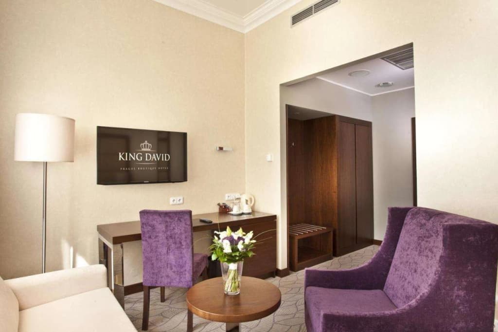 Kosher Hotel KING DAVID Prague - photo 40