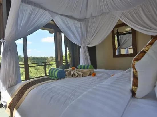 Bali Ubud Villa View - photo 3