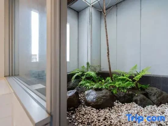Skyview Serenity Duplex Shinjuku - photo 7