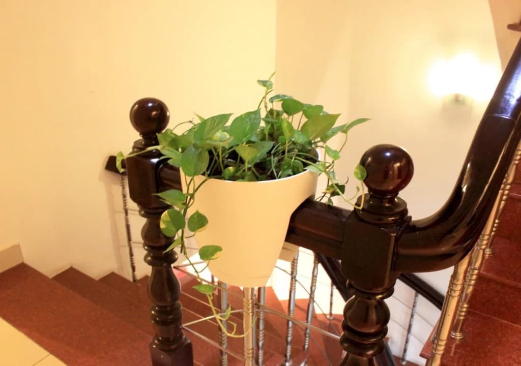 The Alley Saigon Hotel - photo 14