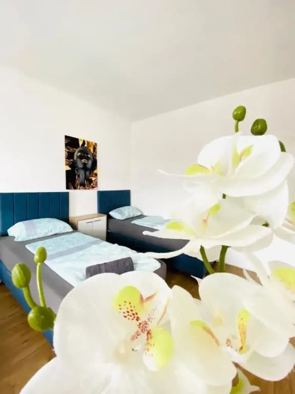 Spacious 4BR for 15 & 15 Min to Danube - photo 23